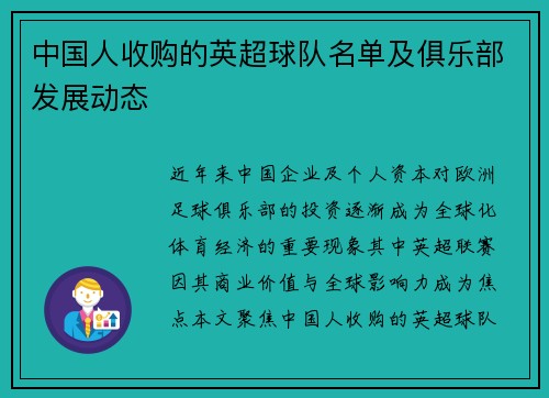 中国人收购的英超球队名单及俱乐部发展动态
