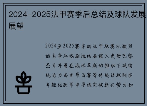 2024-2025法甲赛季后总结及球队发展展望